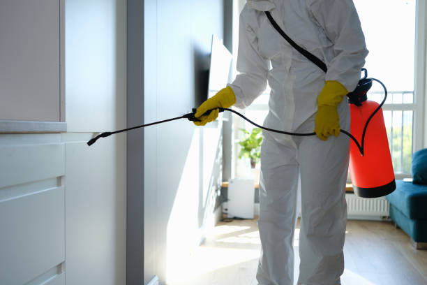 Best Attic Mold Removal  in Exeter, CA