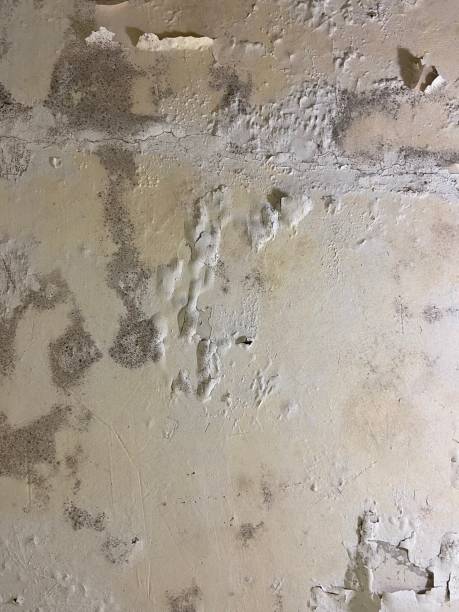 Water Damage Restoration in Exeter, CA