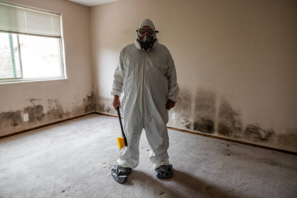 Best Black Mold Removal  in Exeter, CA