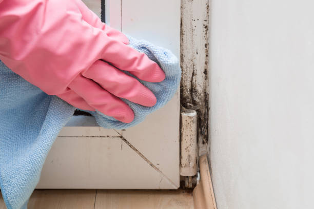 Best Mold Testing  in Exeter, CA